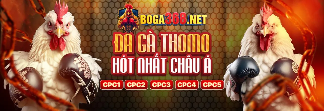 Tham gia đá gà va88 code